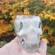 Skull Candle With Crystals