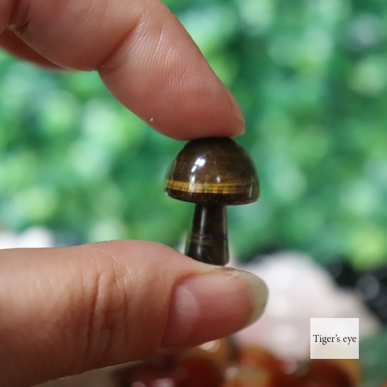 Assorted mini mushrooms